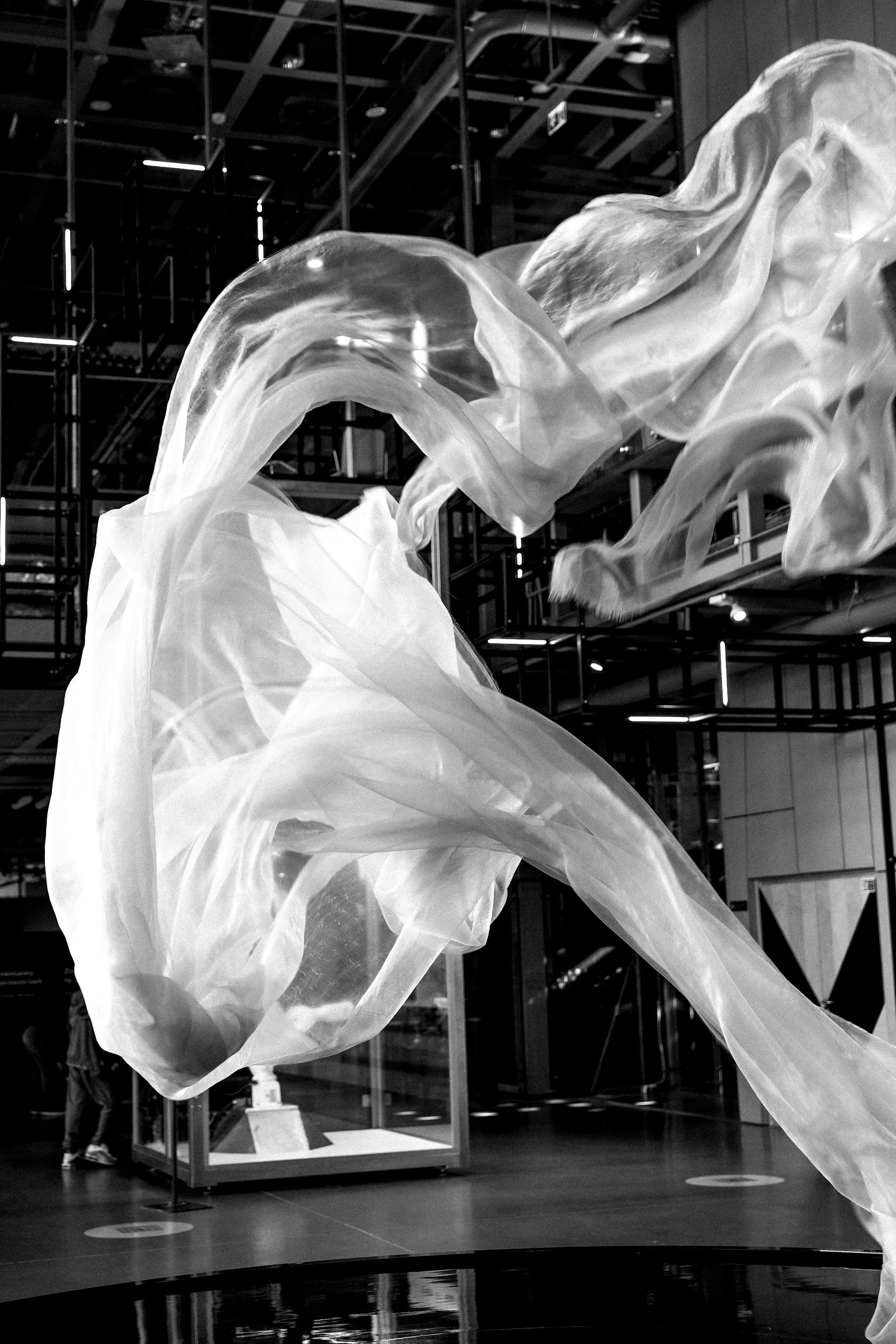 布や髪が動く人物写真